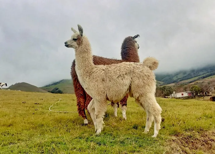 Emeq Albergue Tafí del Valle